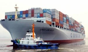 China Dongguan forwarder,Dongguan sea freight forwarder,Dongguan international sea freight forwarder on sale 